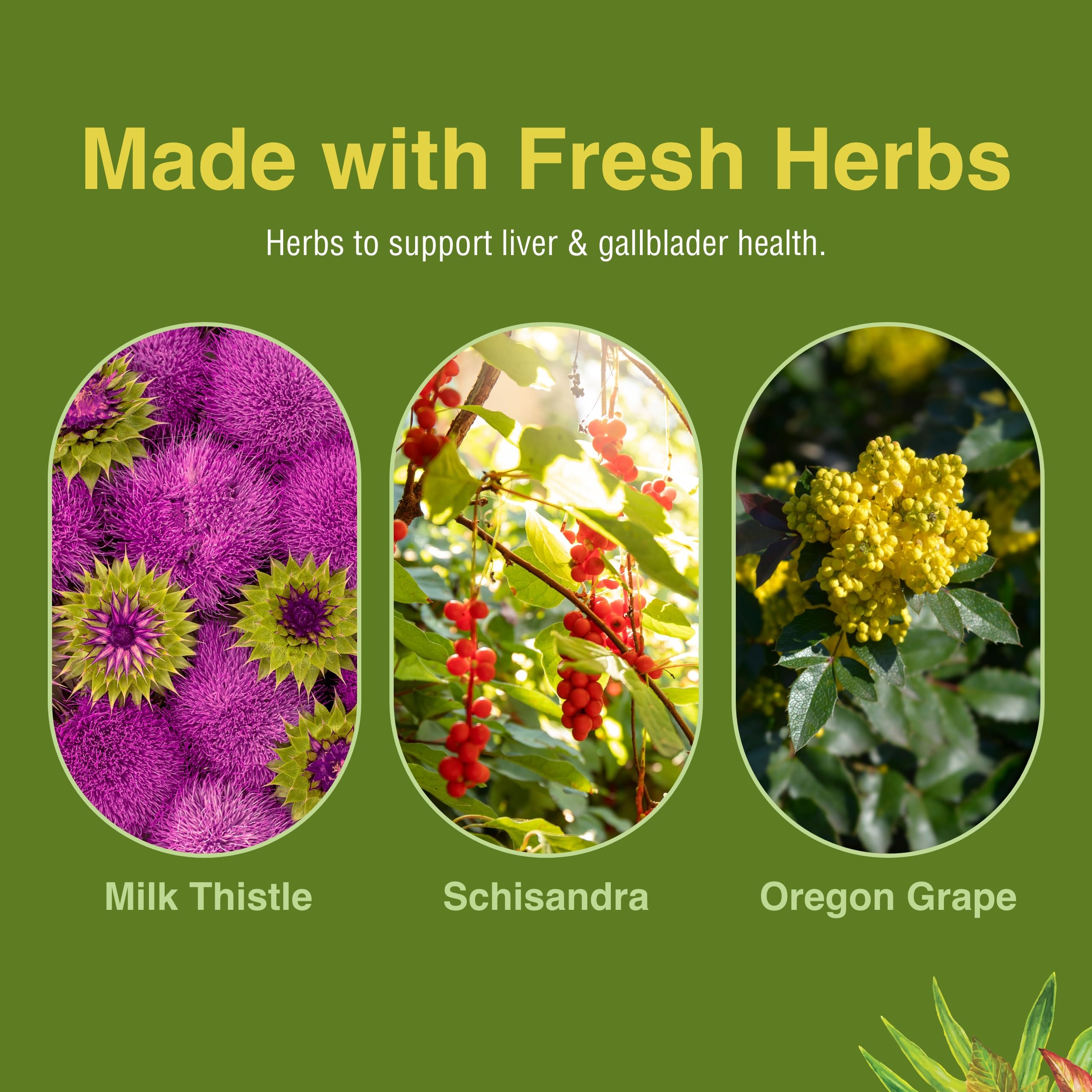 Herbs Etc. Liver Tonic packaging showing 60 softgels