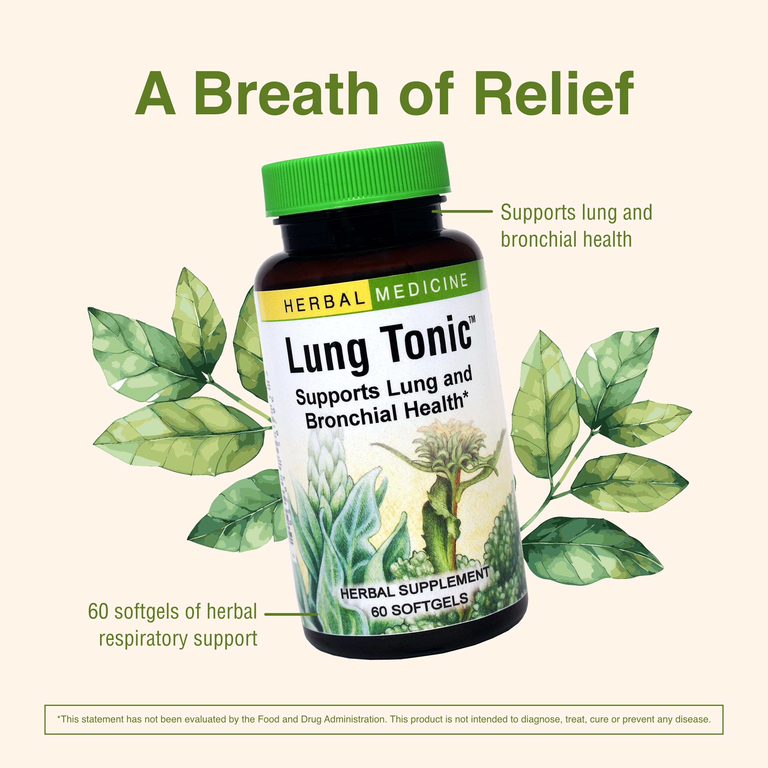 Grindelia plant used in Lung Tonic