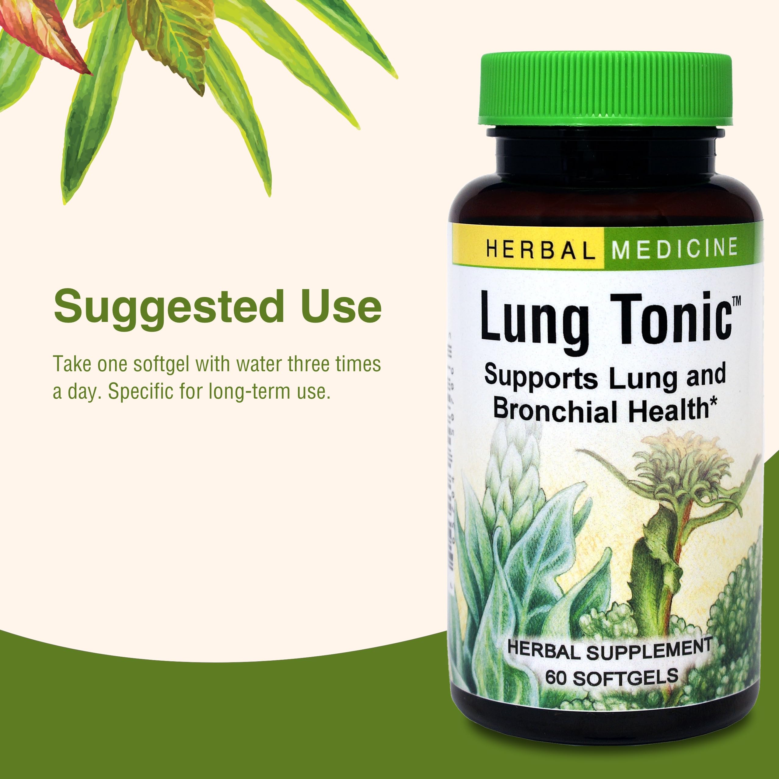 Healthy lungs concept illustration