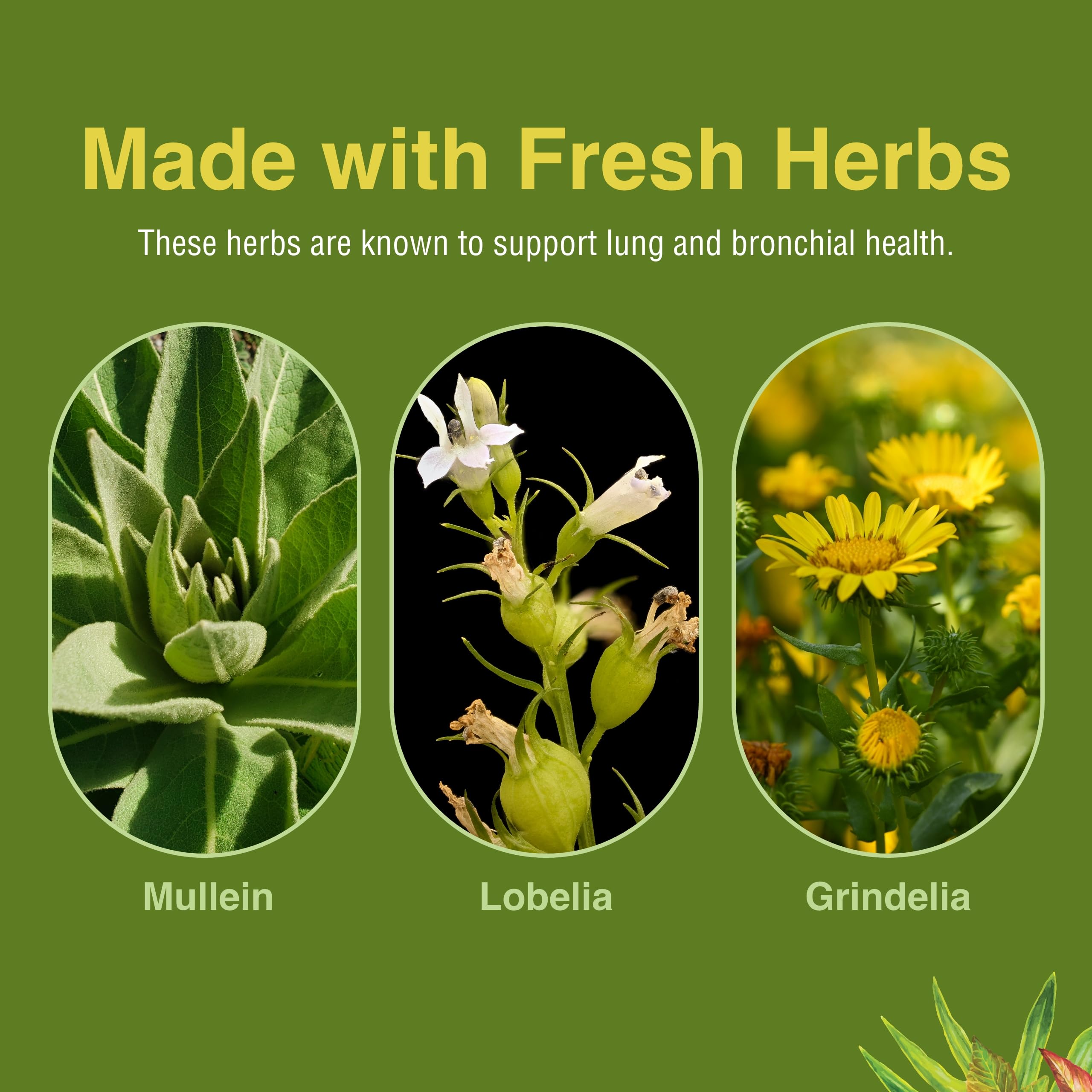 Herbs Etc. Lung Tonic label emphasizes organic herbs.