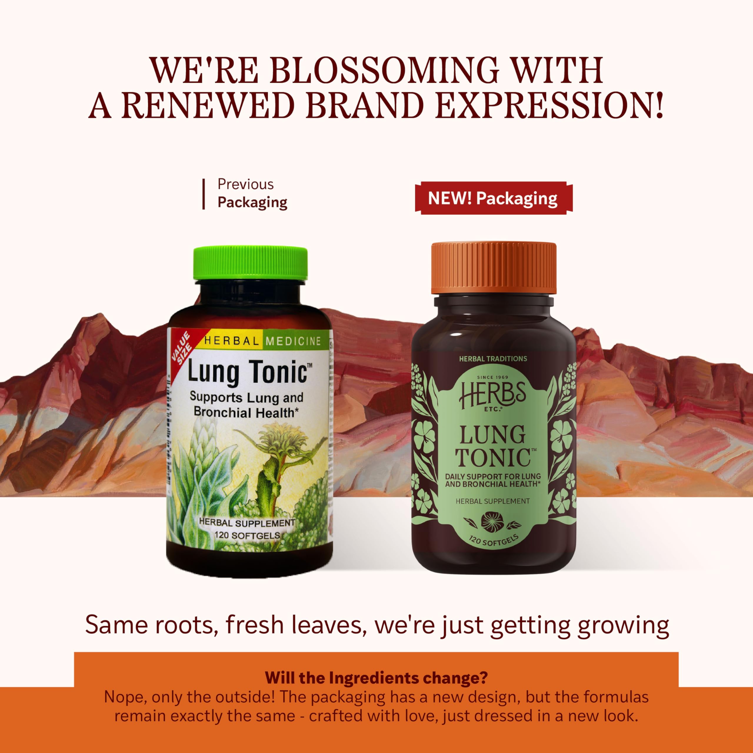 Herbs Etc. Lung Tonic softgels ready for daily breathing support.