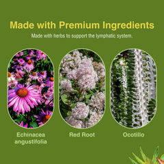Gluten-free Lymphatonic packaging by Herbs Etc.