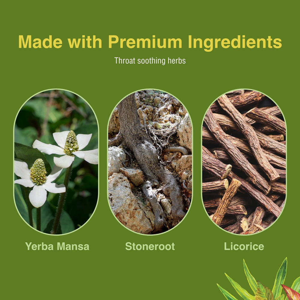 Product packaging of Herbs Etc. Singer's Saving Grace Throat Spray