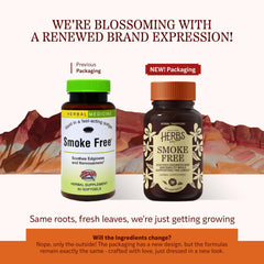 Close-up of Herbs, Etc. Smoke Free softgels capsules