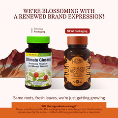 Close-up of Ultimate Ginseng Softgels capsules