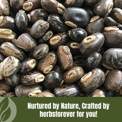 Uses for Mucuna Pruriens powder in smoothies and teas