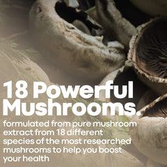 Natural ingredients with mushrooms and leaves background