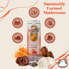 12-pack carton of High Ground Elixir Mushroom Seltzer Strawberry Peach