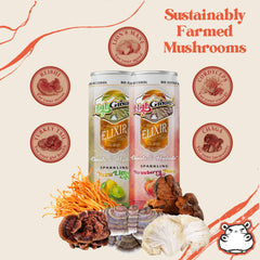 Close-up of Cordyceps, Chaga and Turkey Tail blend on can