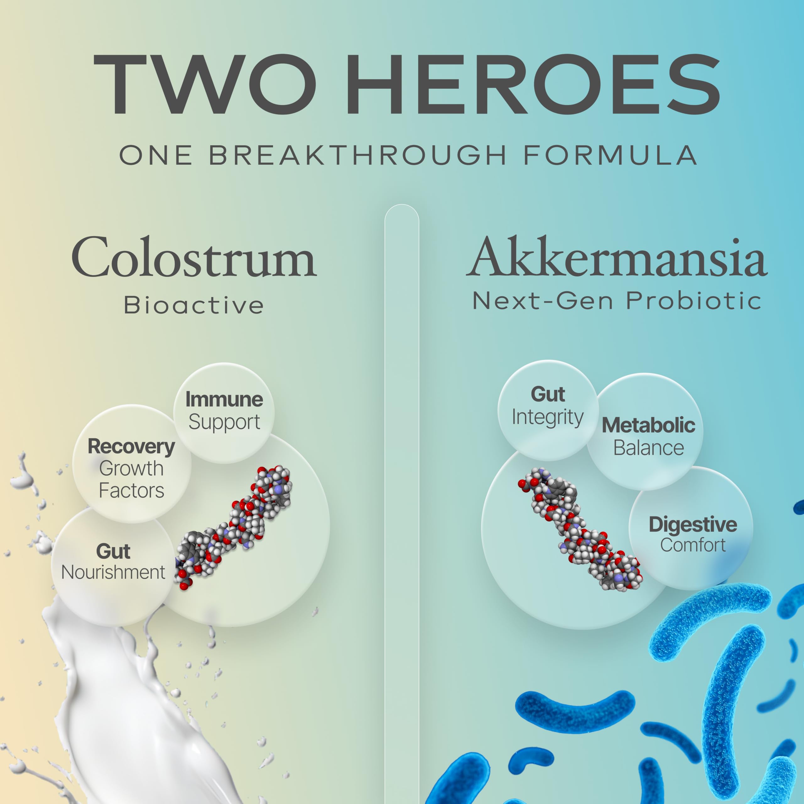 High IgG bovine colostrum for gut lining support