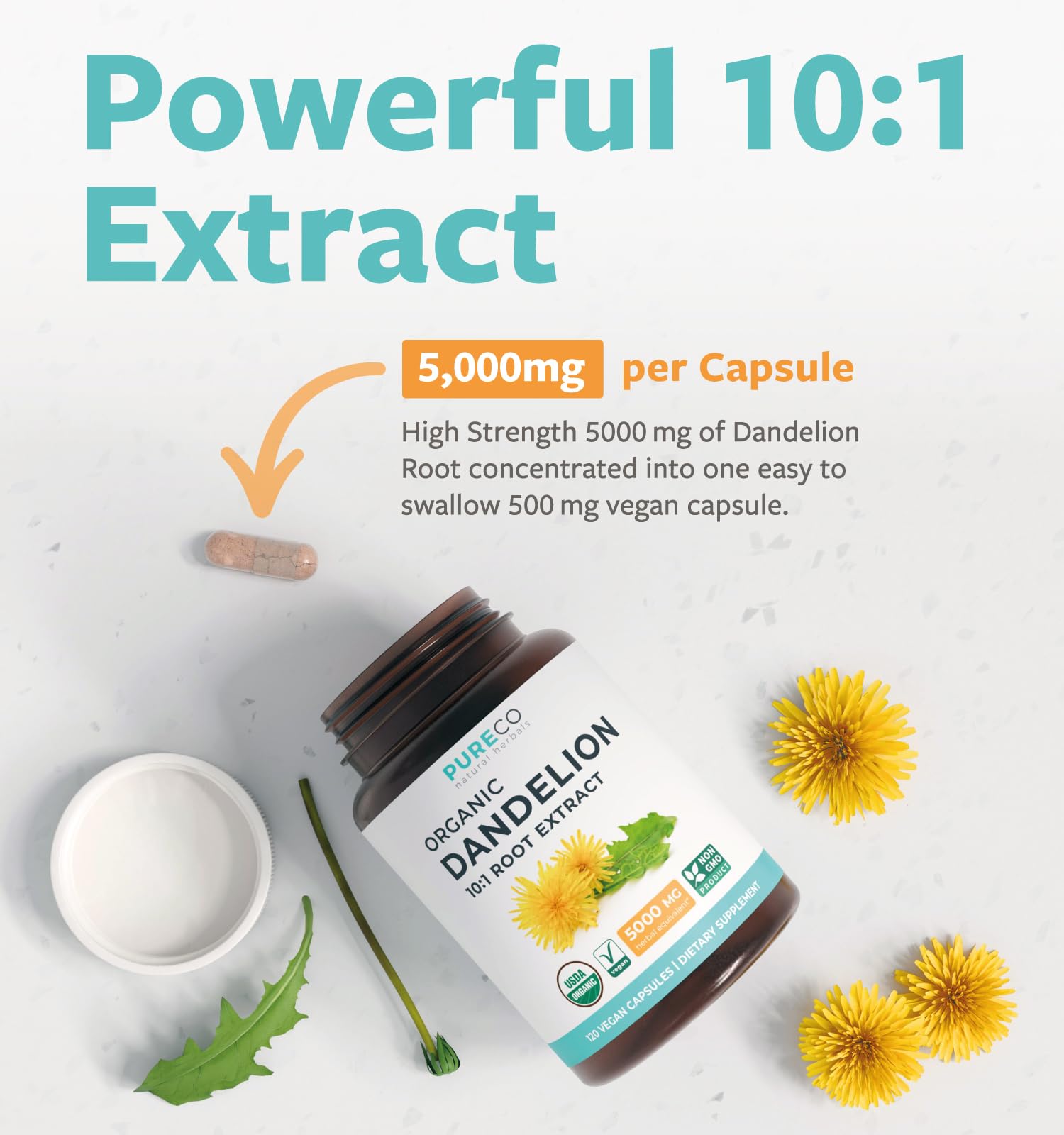 High potency dandelion root extract capsule