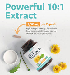 High potency dandelion root extract capsule