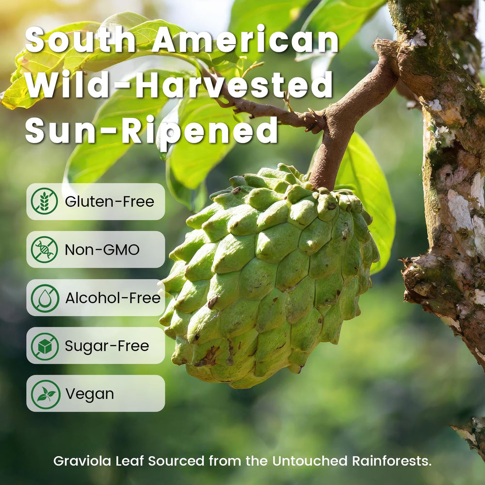 Ingredients blend showing Sea Moss, Moringa, Turmeric