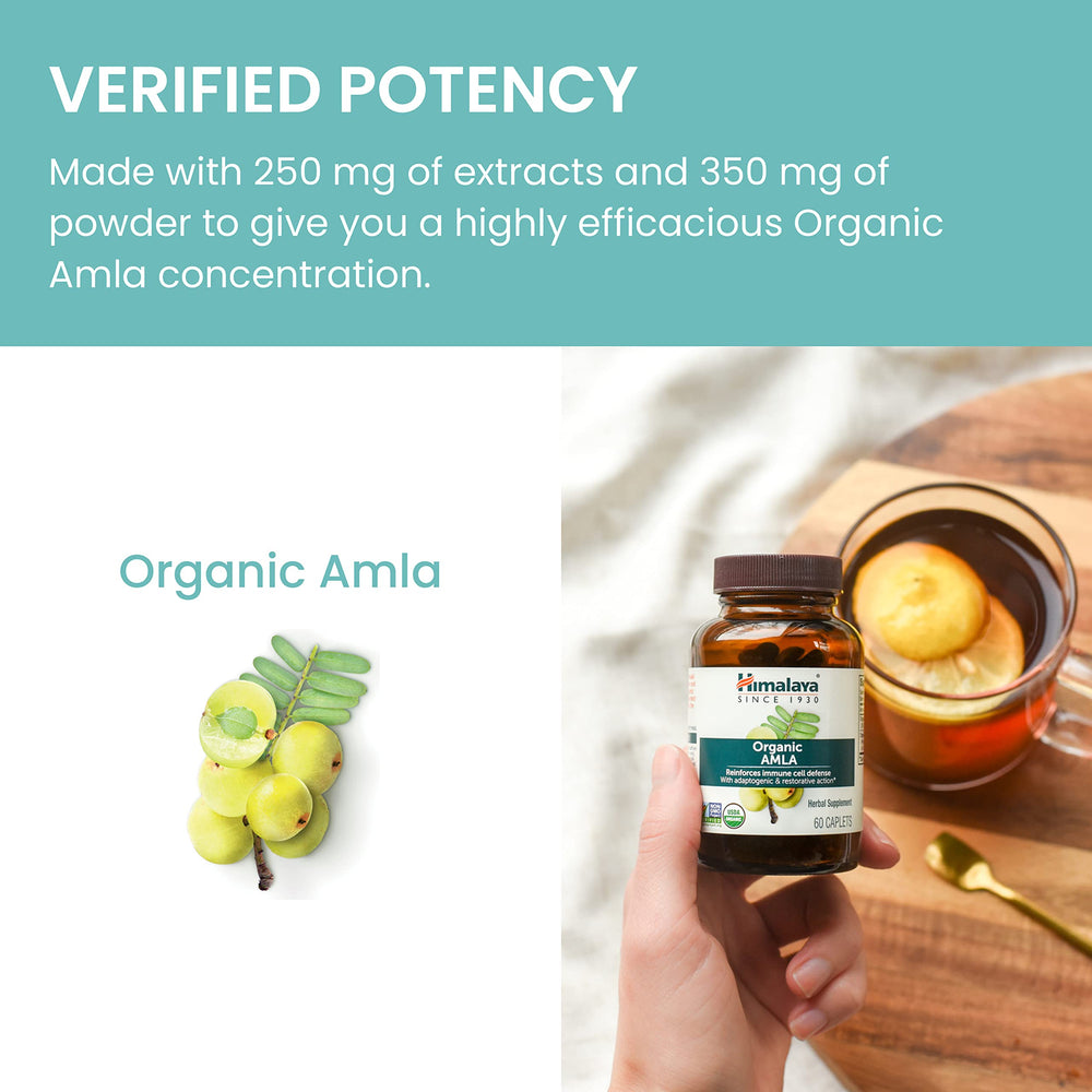Gluten-free dairy-free Himalaya Organic Amla caplets