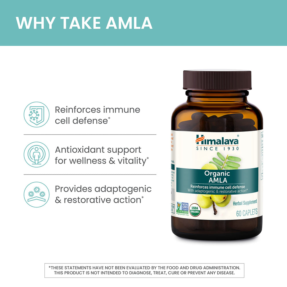 Himalaya Amla organic powder 350 mg being encapsulated
