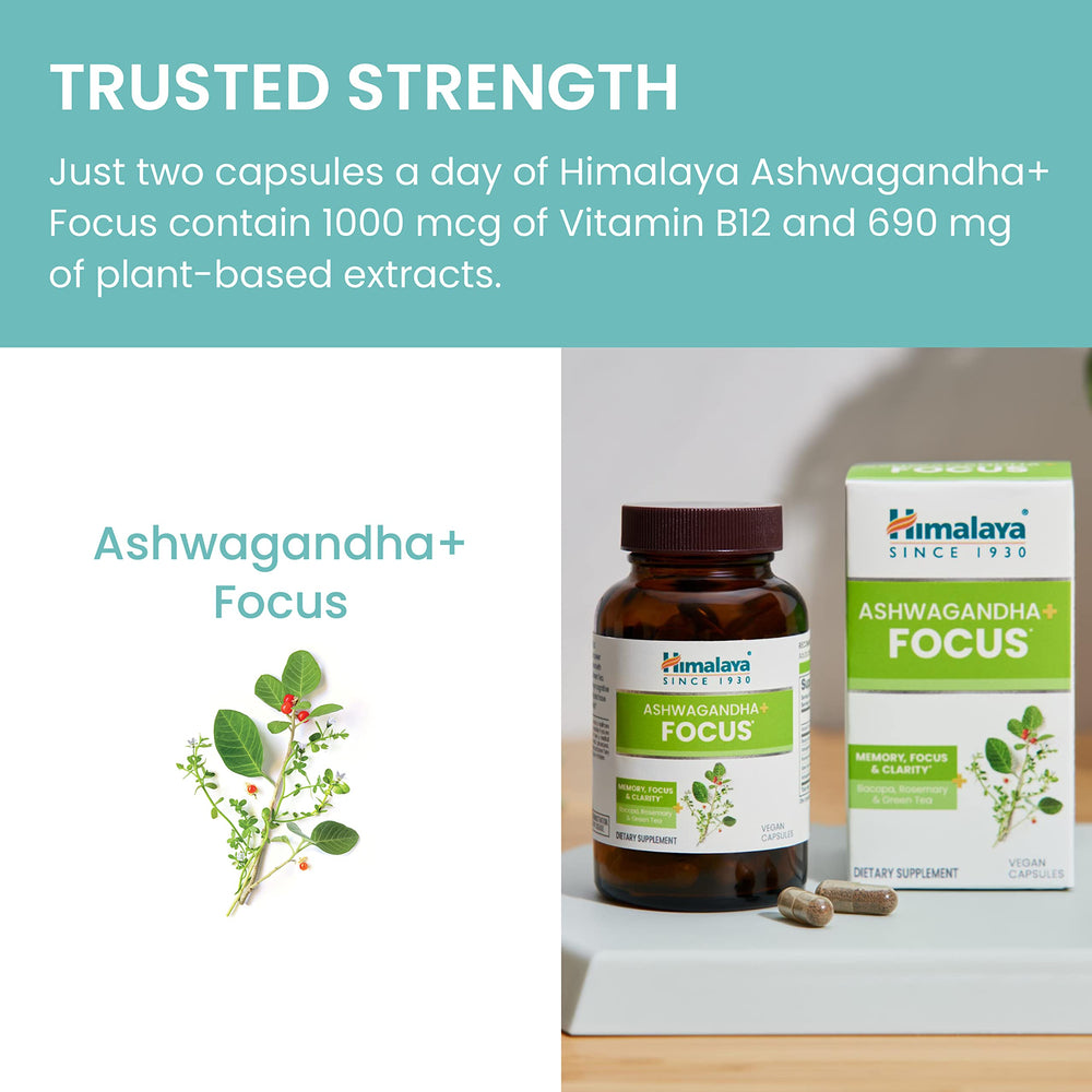 Green tea extract included in Himalaya Ashwagandha+ Focus