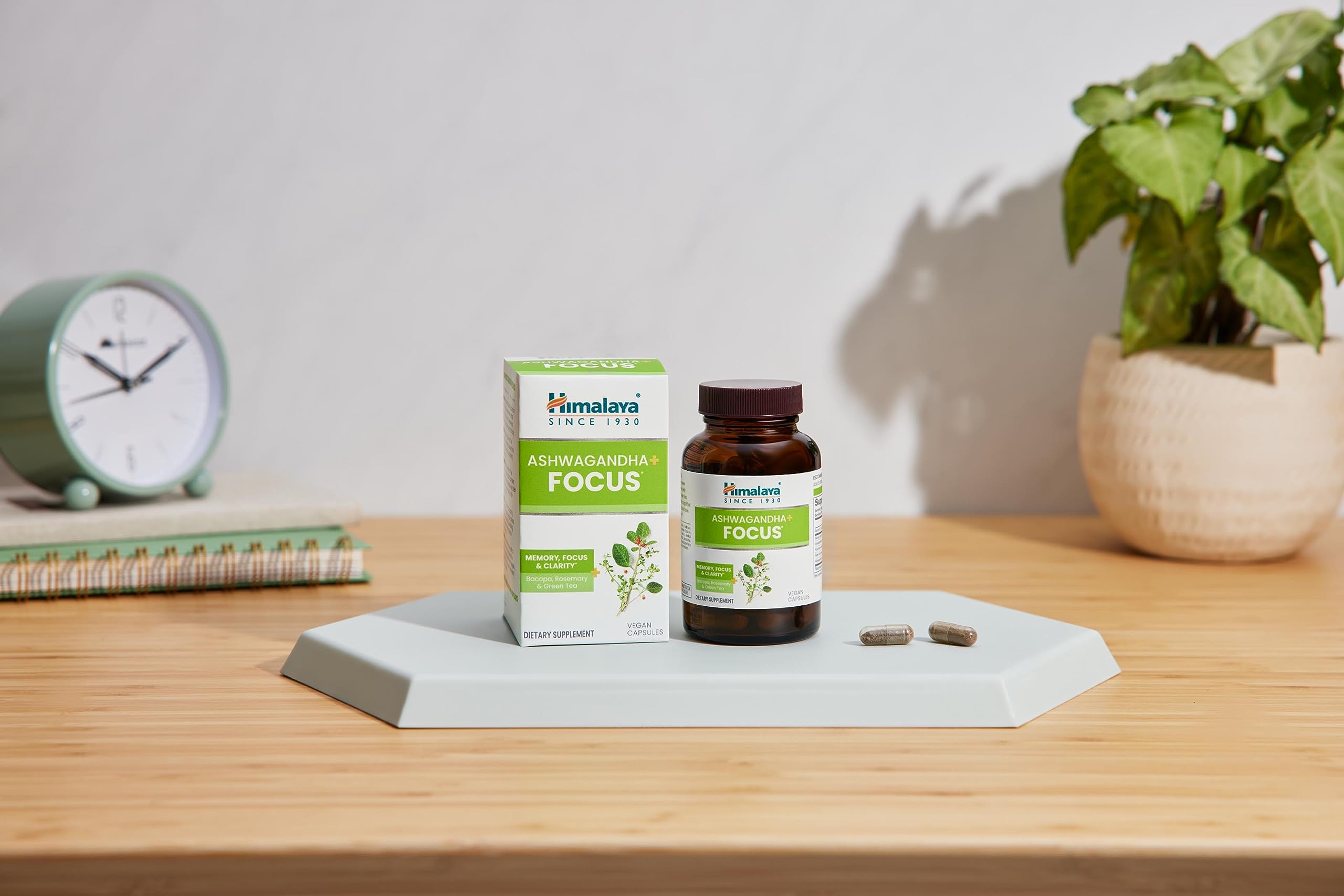 Rosemary component in Himalaya Ashwagandha+ Focus