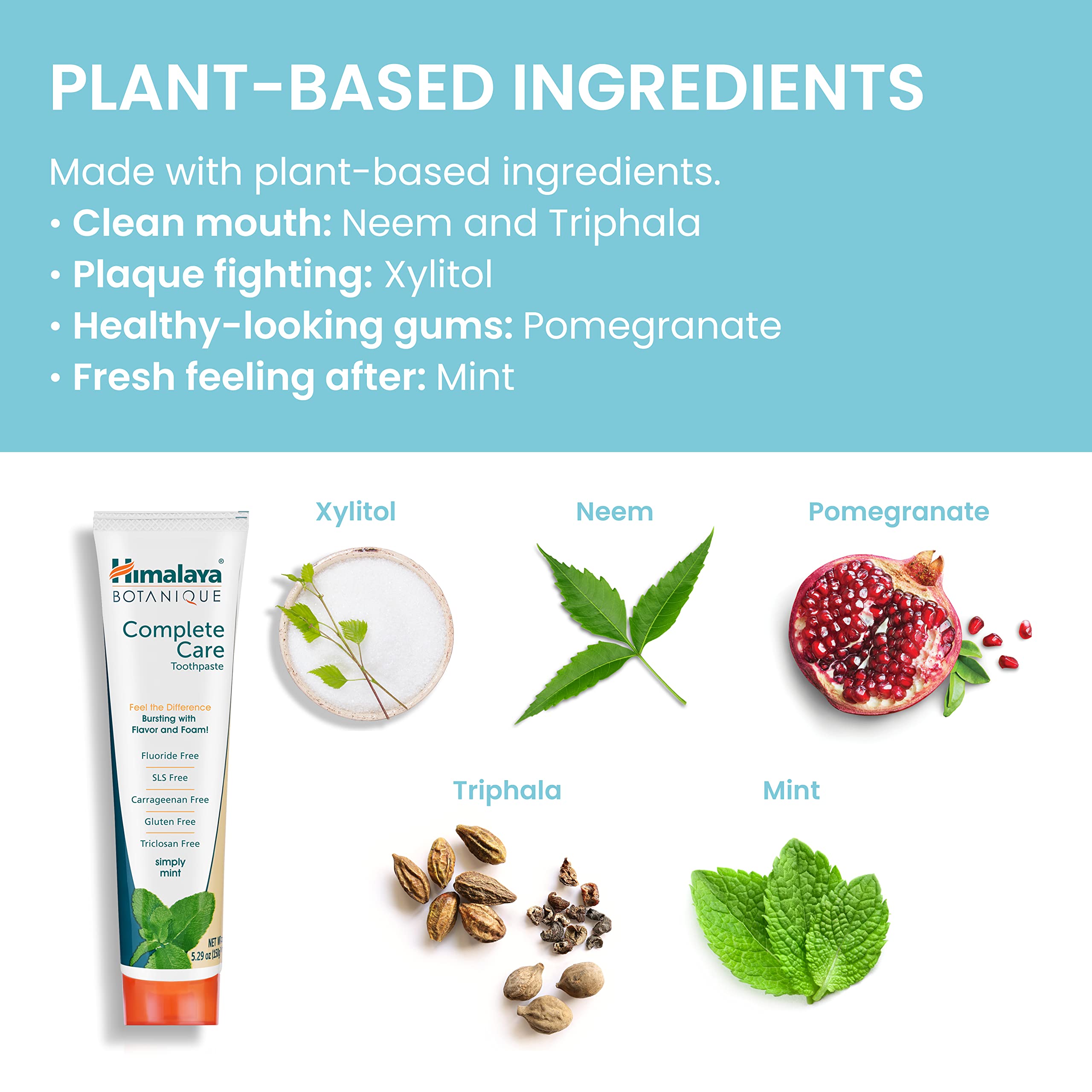 Neem and herbal ingredients in Himalaya Botanique toothpaste