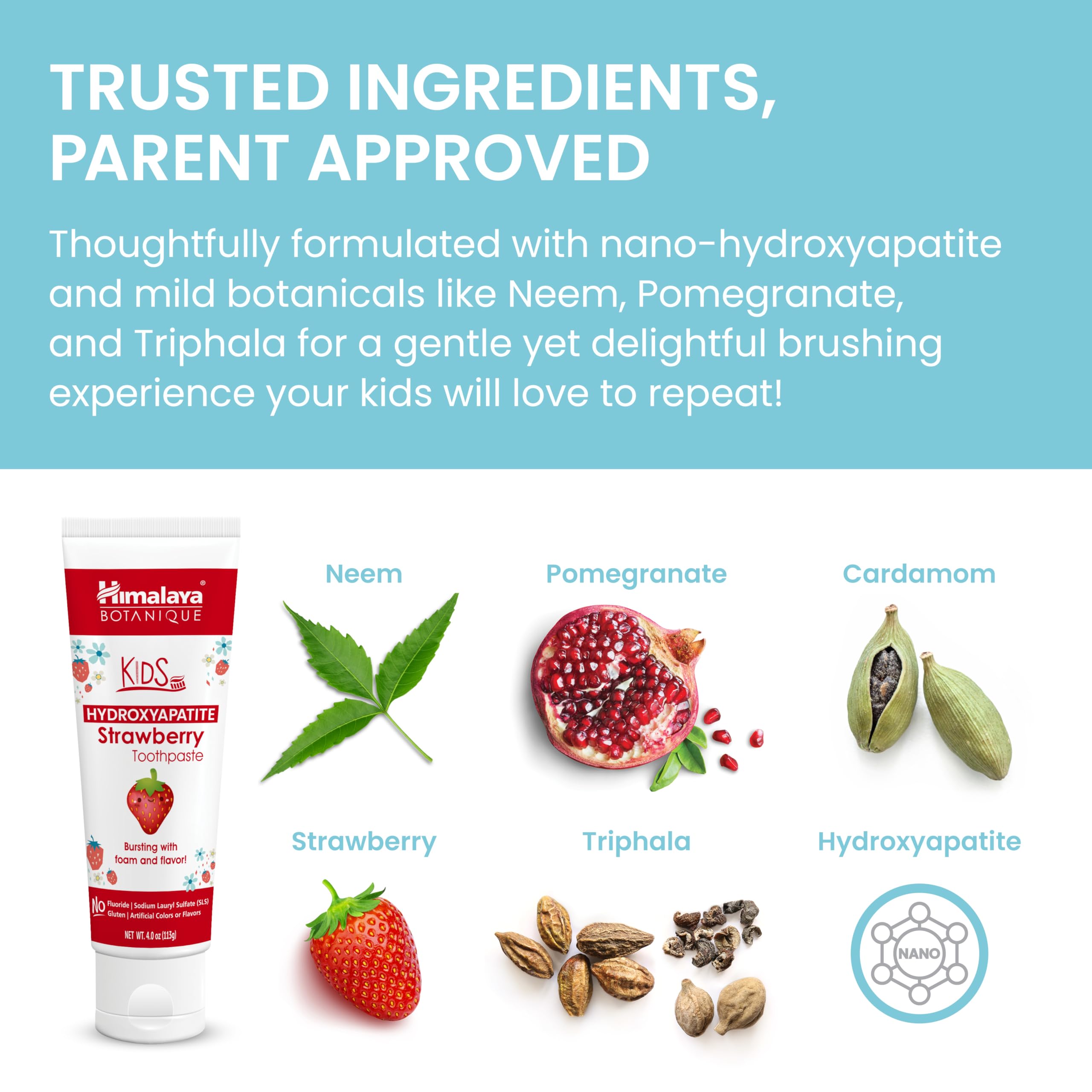 Herbal ingredients Neem, Pomegranate, and Triphala illustration