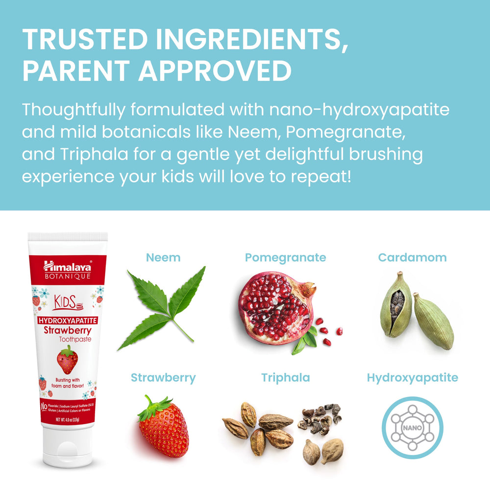 Herbal ingredients Neem, Pomegranate, and Triphala illustration