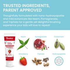 Herbal ingredients Neem, Pomegranate, and Triphala illustration
