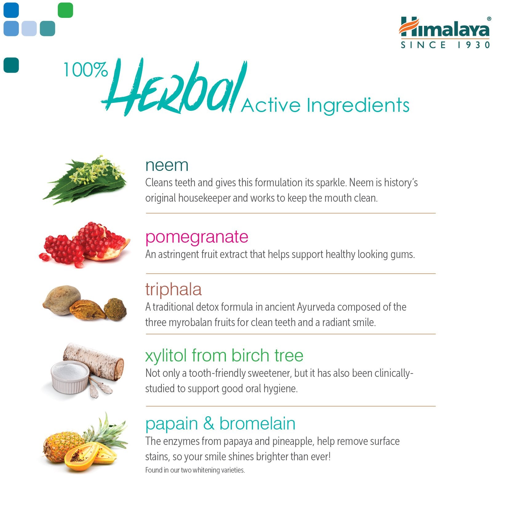 Cruelty-free logo on toothpaste packaging