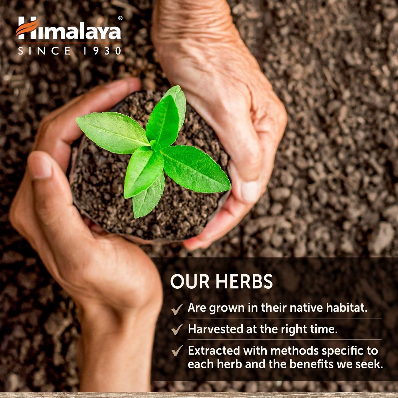 Himalaya HeartCare promotes calm during busy days in daily routines.