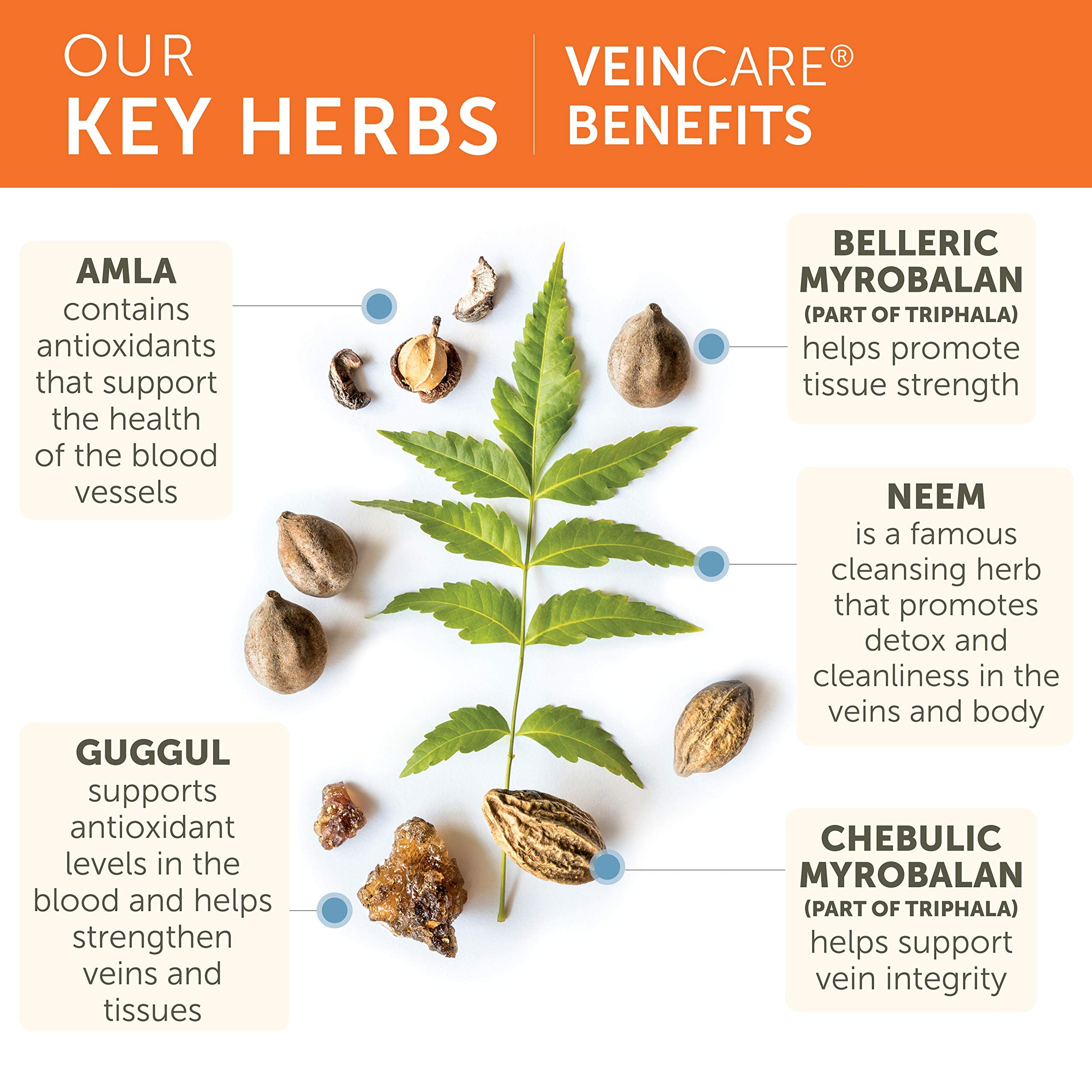 Ayurvedic herbs guggul and neem used in VeinCare