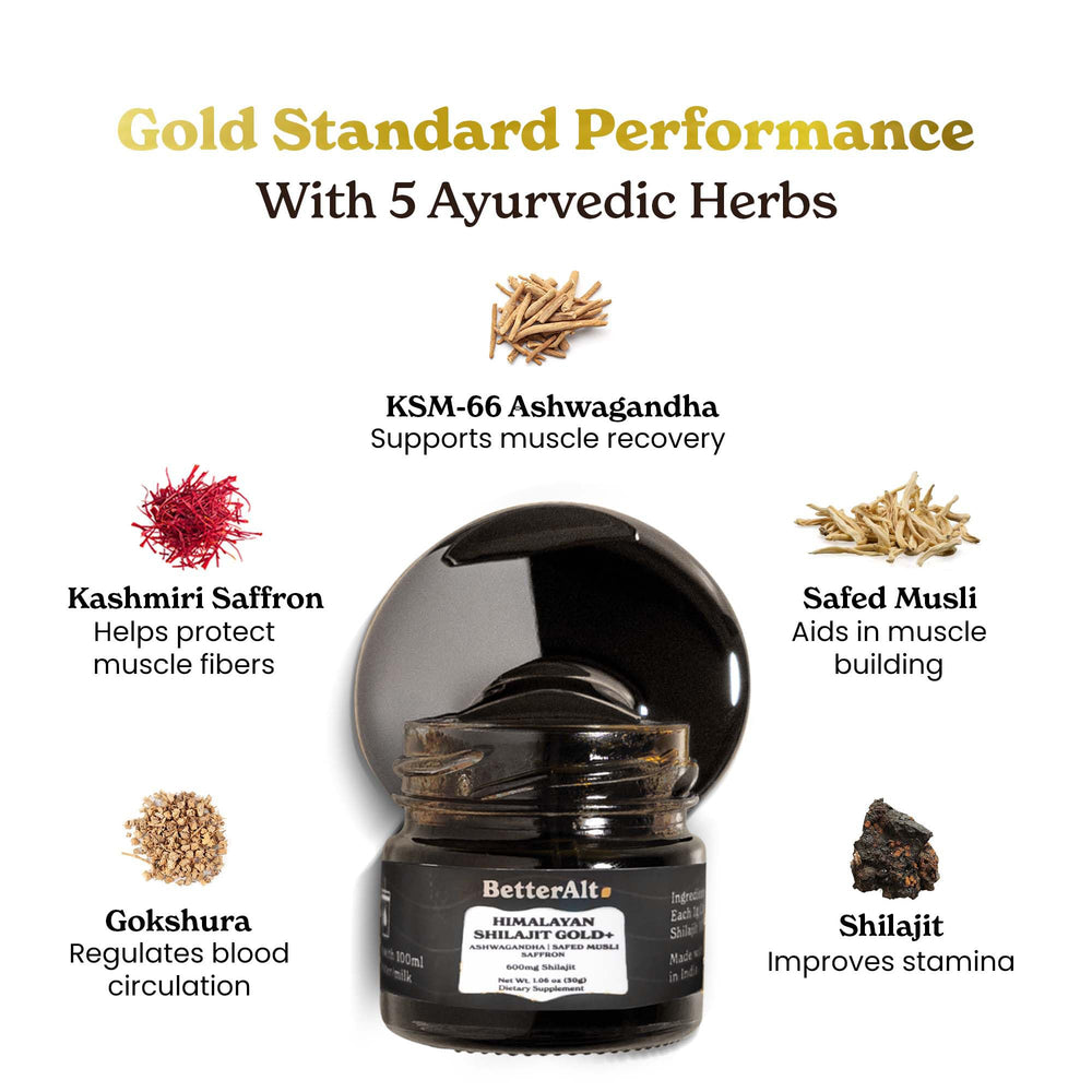 Himalayan Shilajit Gold resin sourced from 16,000 ft