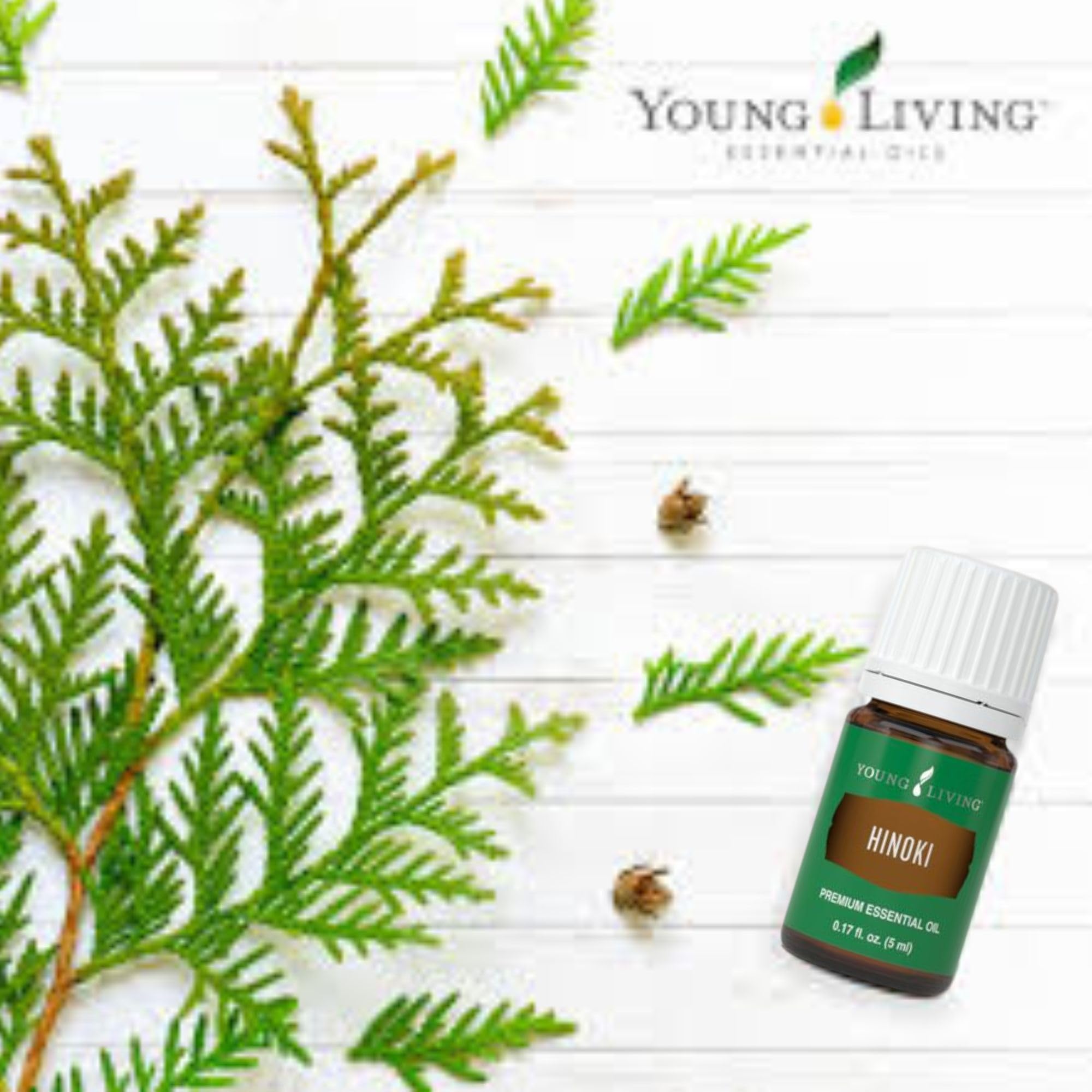 Young Living Hinoki meditation scene highlighting calming focus.