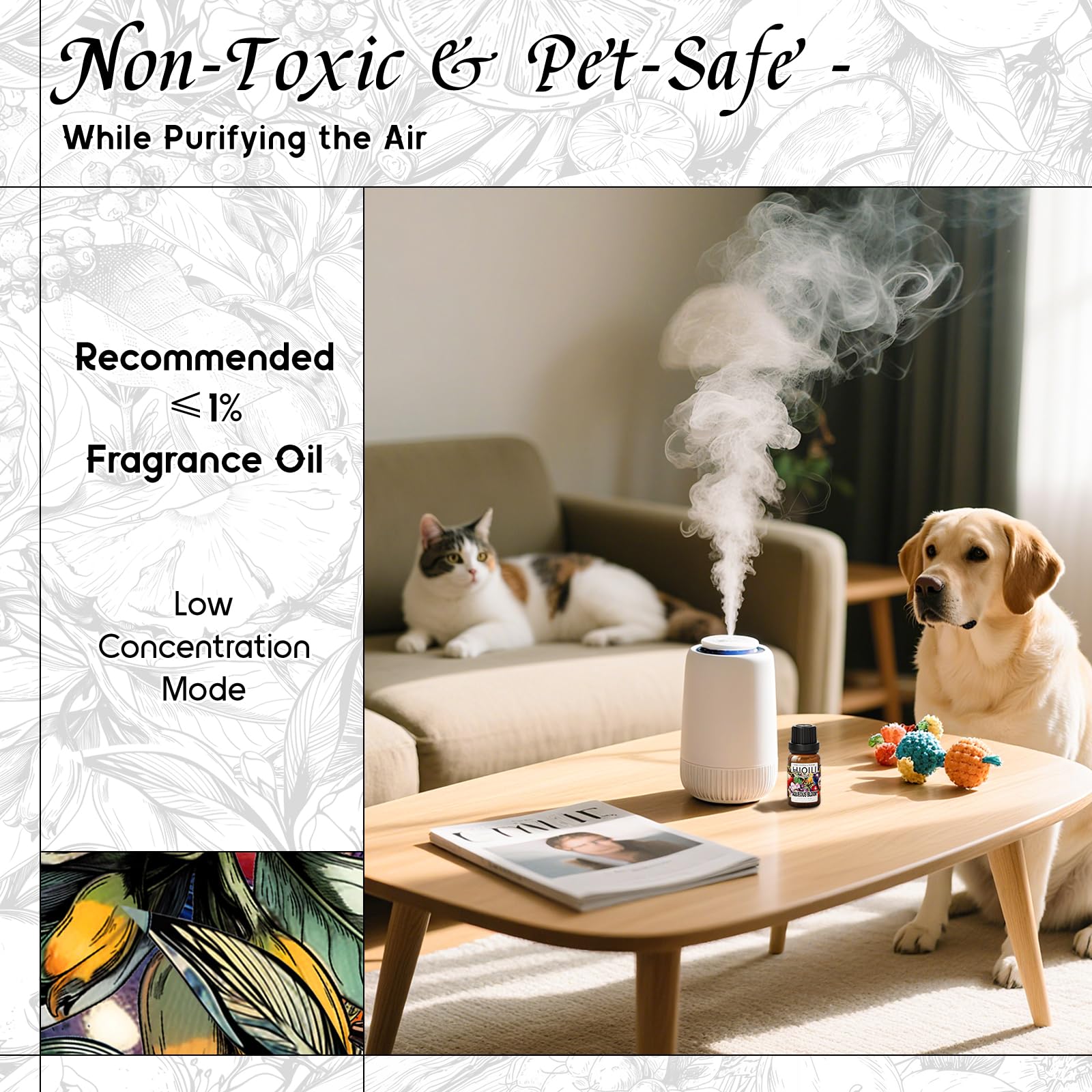 Diffuser setup illustrating compatibility with humidifiers
