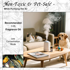Diffuser setup illustrating compatibility with humidifiers