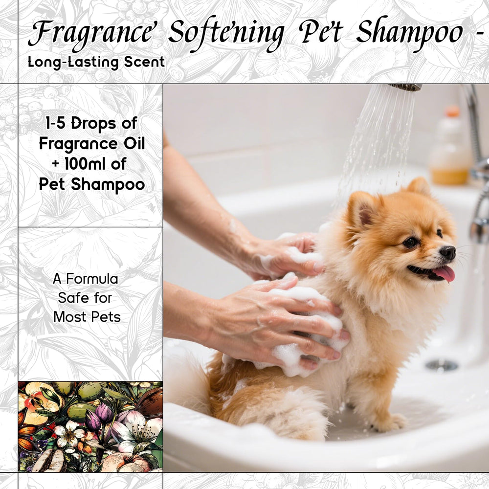 Pet-safe formula HIQILI fragrance oil for DIY pet products.