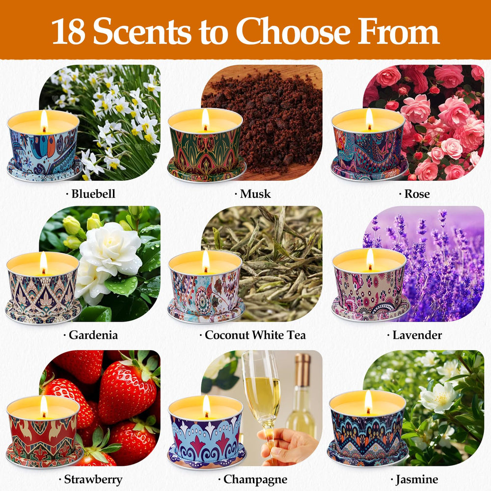 Assorted 2.5oz HOFOGOTOWIN candle tins in the set