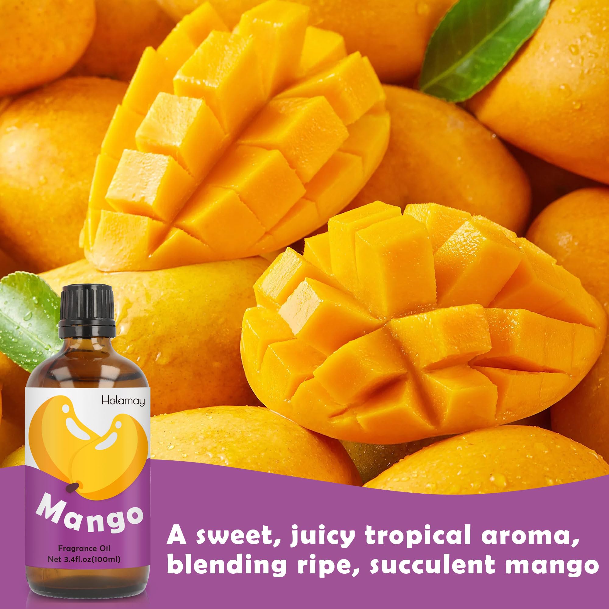 Homalay Mango fragrance oil label-closeup highlights premium packaging and IFRA-standard quality for gifting.