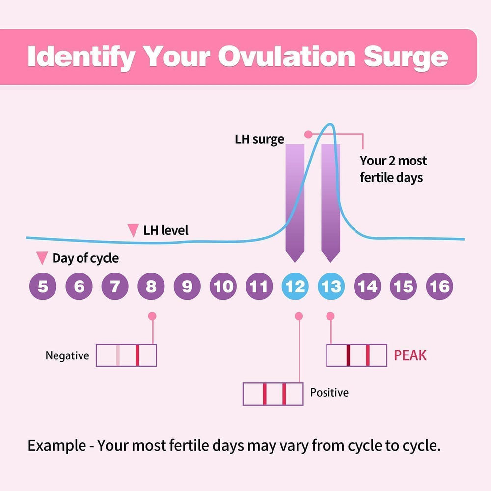Home fertility testing kit for women