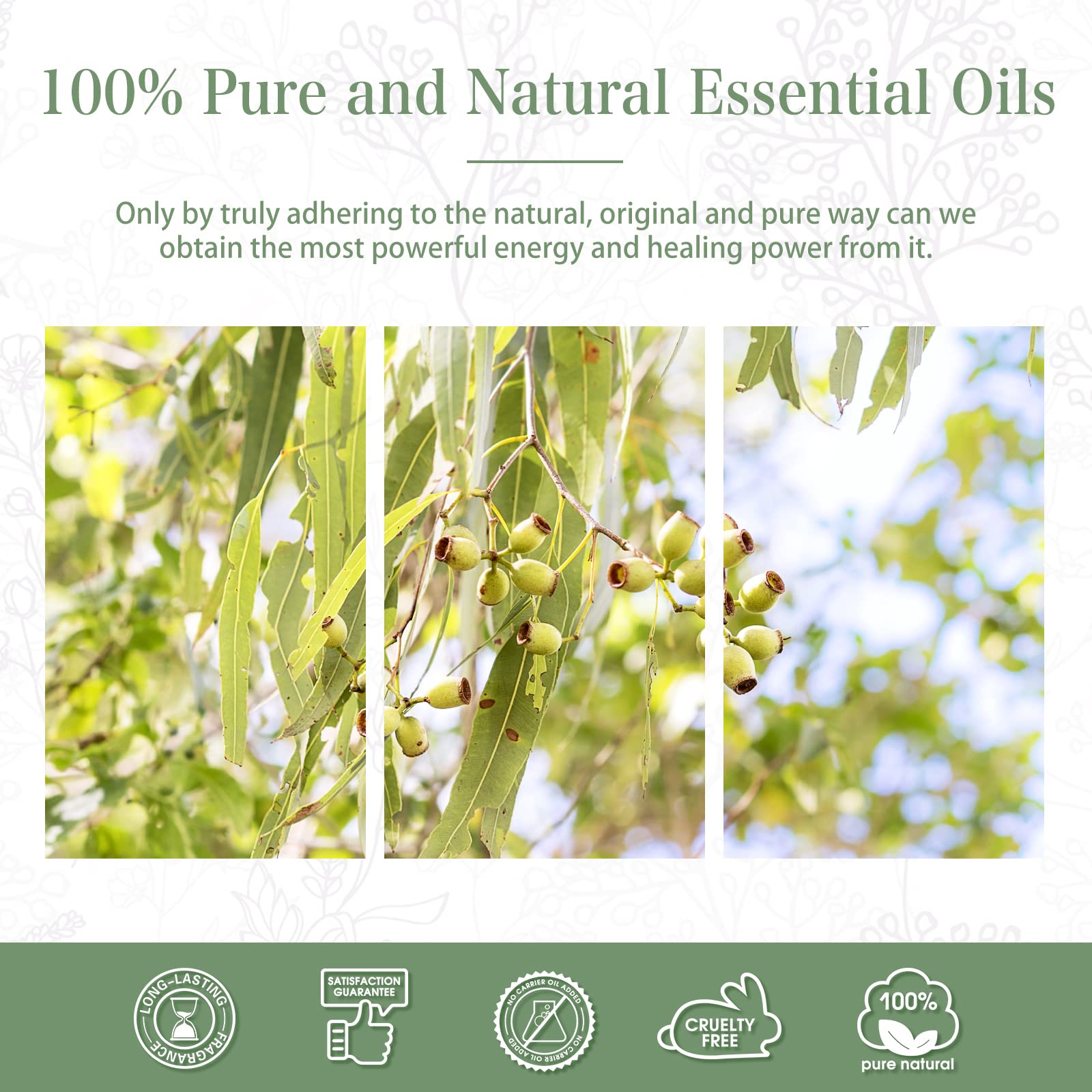 Home and kitchen aromatherapy with lemon eucalyptus essential oil