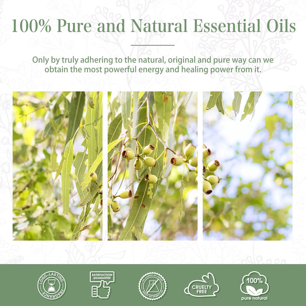 Home and kitchen aromatherapy with lemon eucalyptus essential oil