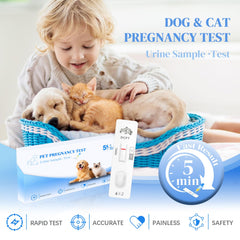At-home testing setup for the pregnancy test kit