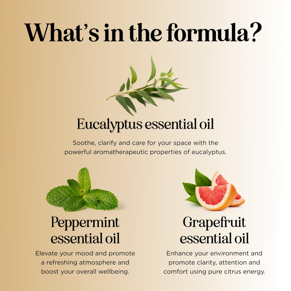Home or travel diffuser with Focus blend creating ambience