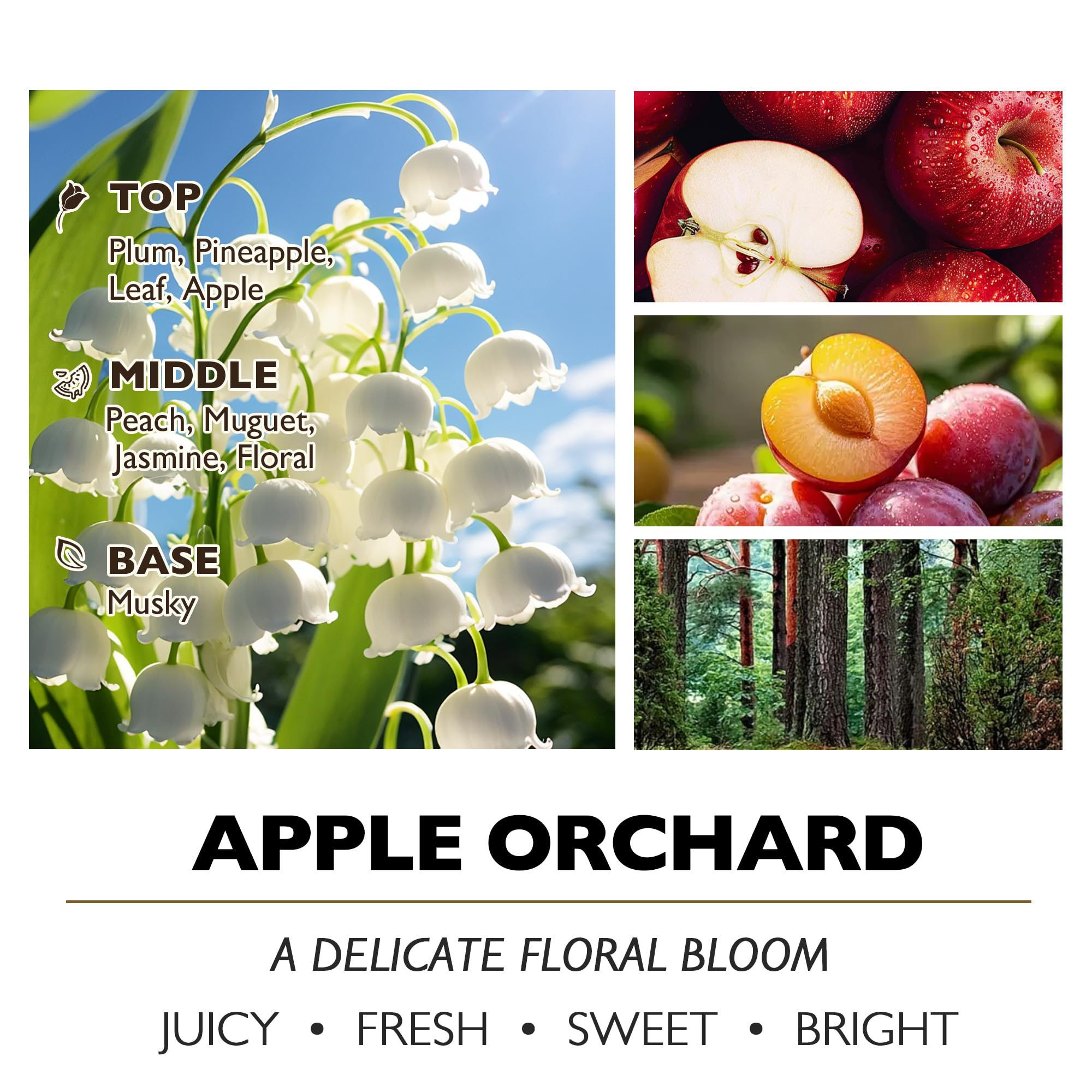 Home Lights citrus fruity scent candle for bright, energizing spaces