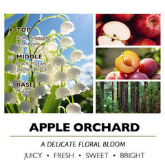 Home Lights citrus fruity scent candle for bright, energizing spaces