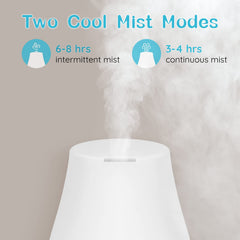 Homeweeks diffuser packaging and included accessories