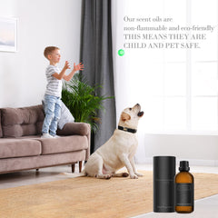 Homnas Serenity Meadows room ambiance demonstrates hotel-grade fragrance in living spaces.