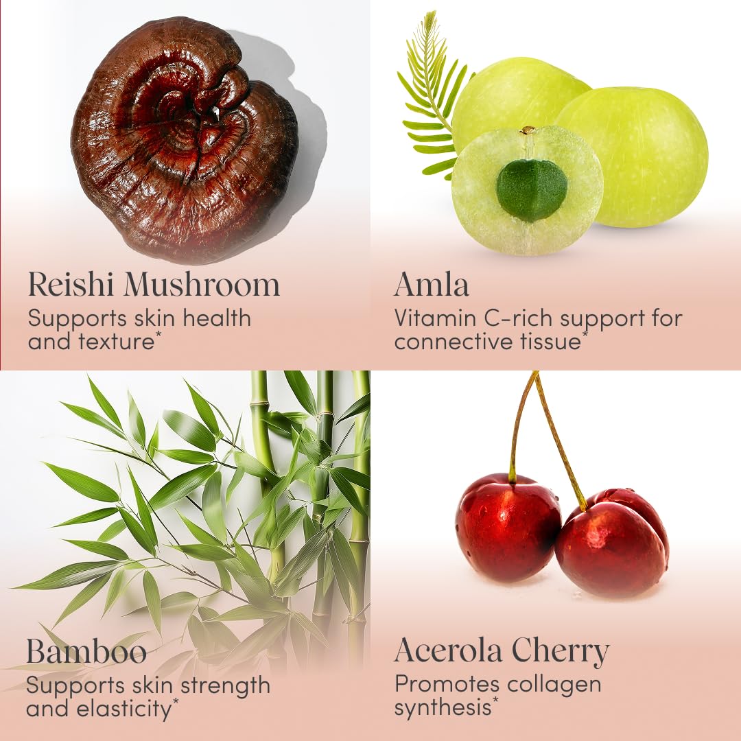 Illustration of tremella and reishi mushrooms used in the formula