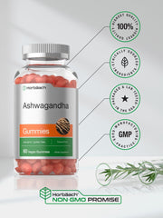 Two Horbäach Ashwagandha Gummies bottles side by side