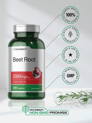Health benefits graphic highlighting beet root extract