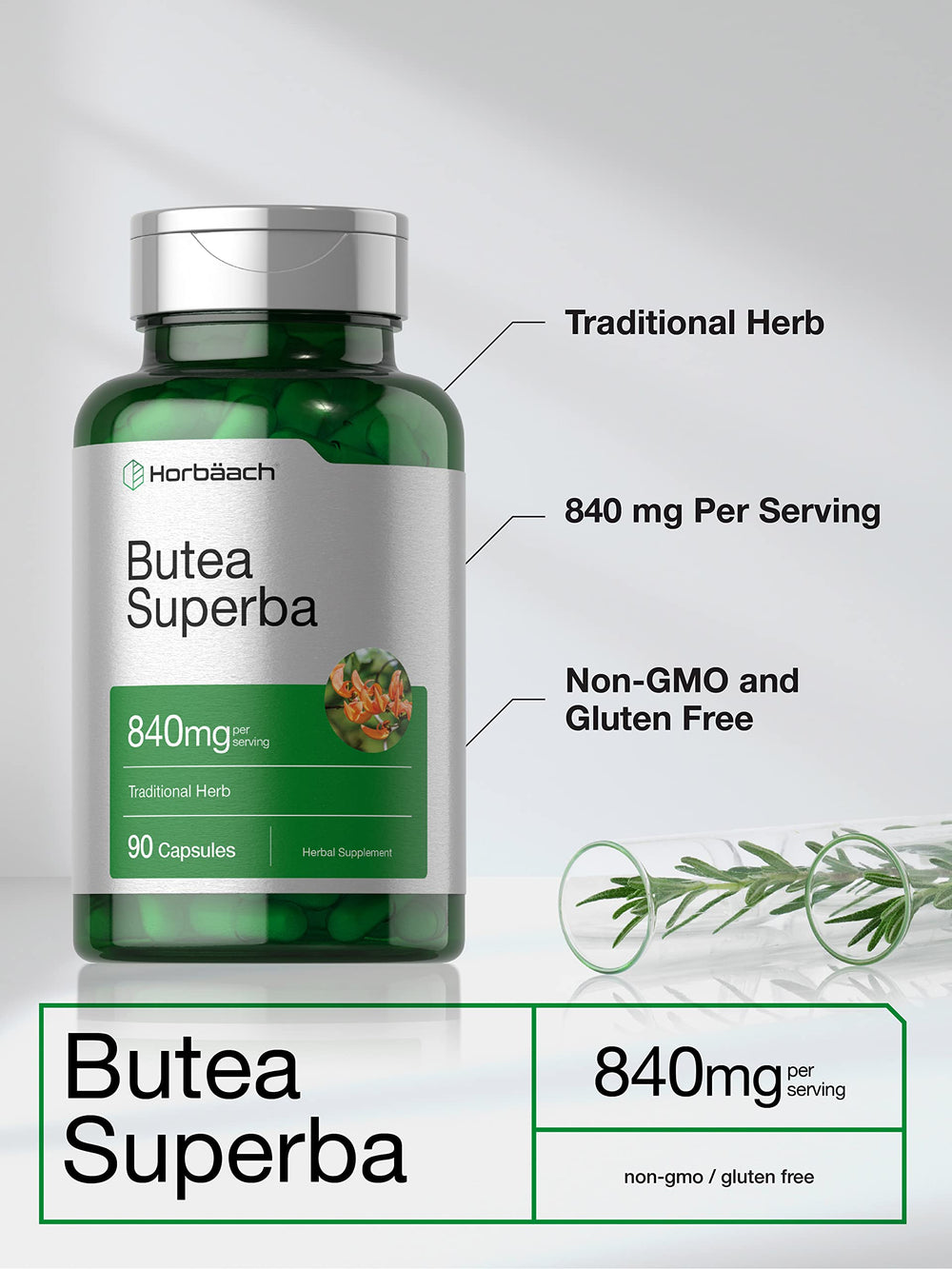 Supplement facts panel for Horbäach Butea Superba Root 840 mg