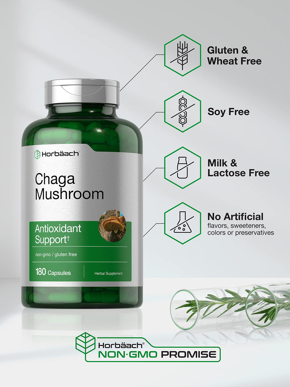 Supplement Facts panel for Horbaach Chaga Mushroom Capsules