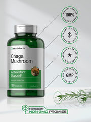 Chaga mushroom capsules in blister packs
